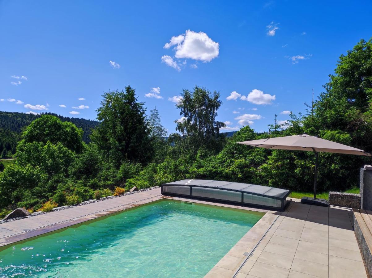 Le Cerf, Chalet Cocooning Avec Piscine Et Billard Ban-sur-Meurthe-Clefcy المظهر الخارجي الصورة