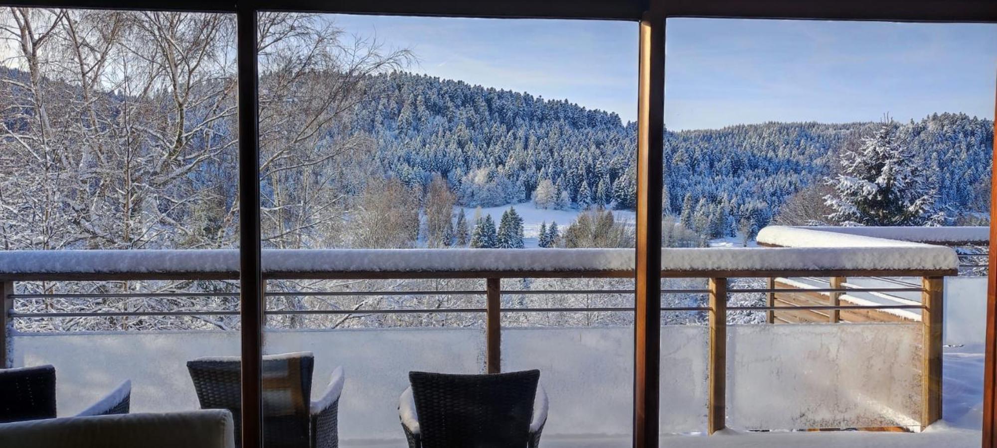 Le Cerf, Chalet Cocooning Avec Piscine Et Billard Ban-sur-Meurthe-Clefcy المظهر الخارجي الصورة